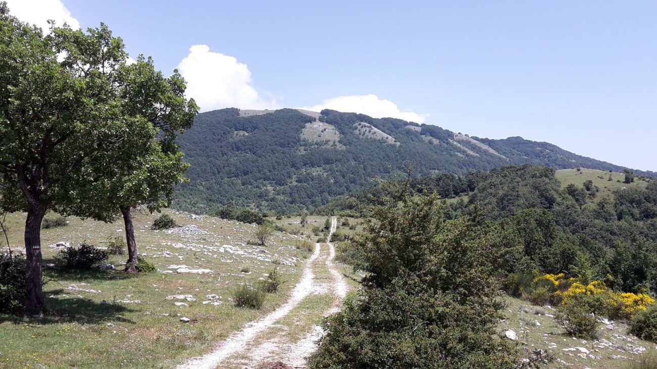 Trekking nella Sabina_Monte Pellecchia