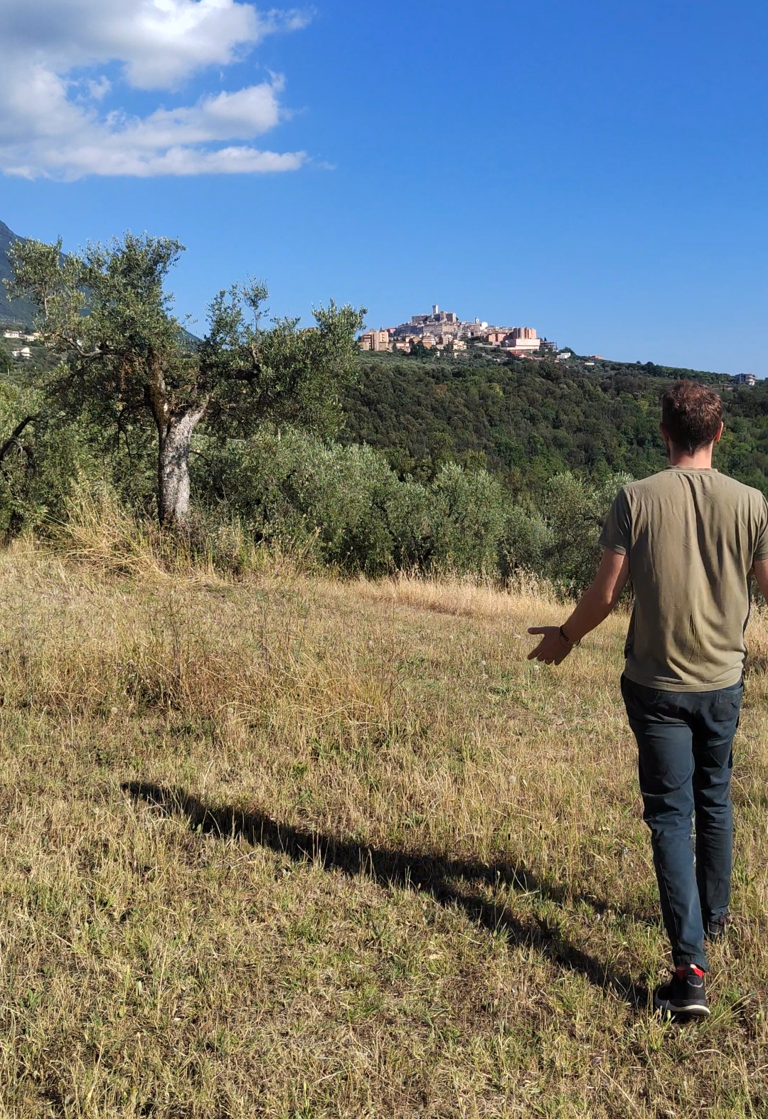 I cavalieri dell'oro verde