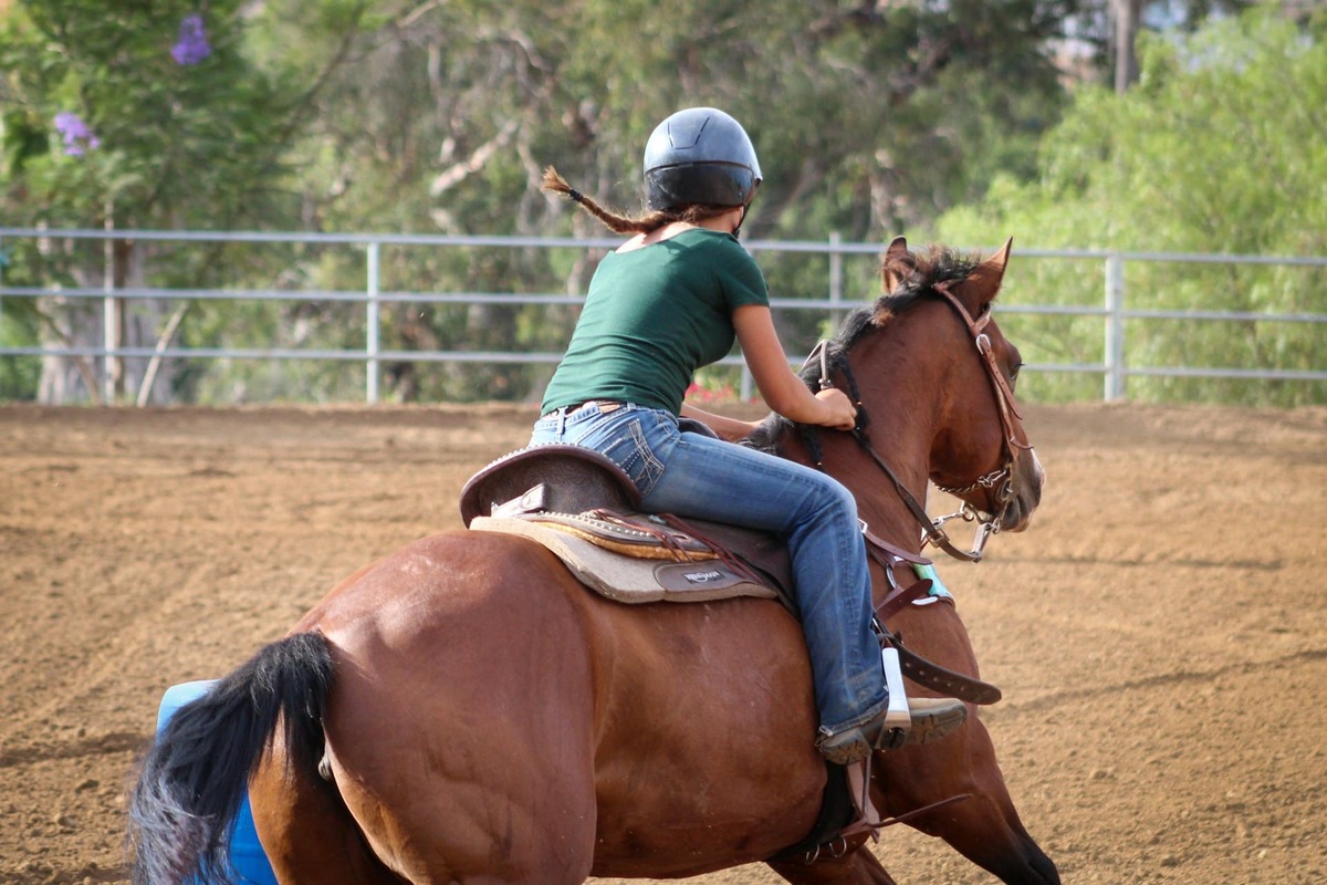 Gymkhana western