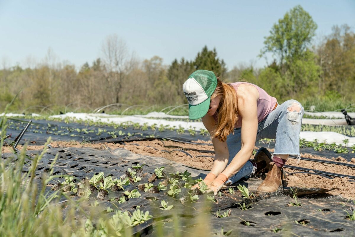 Lavorare in campagna