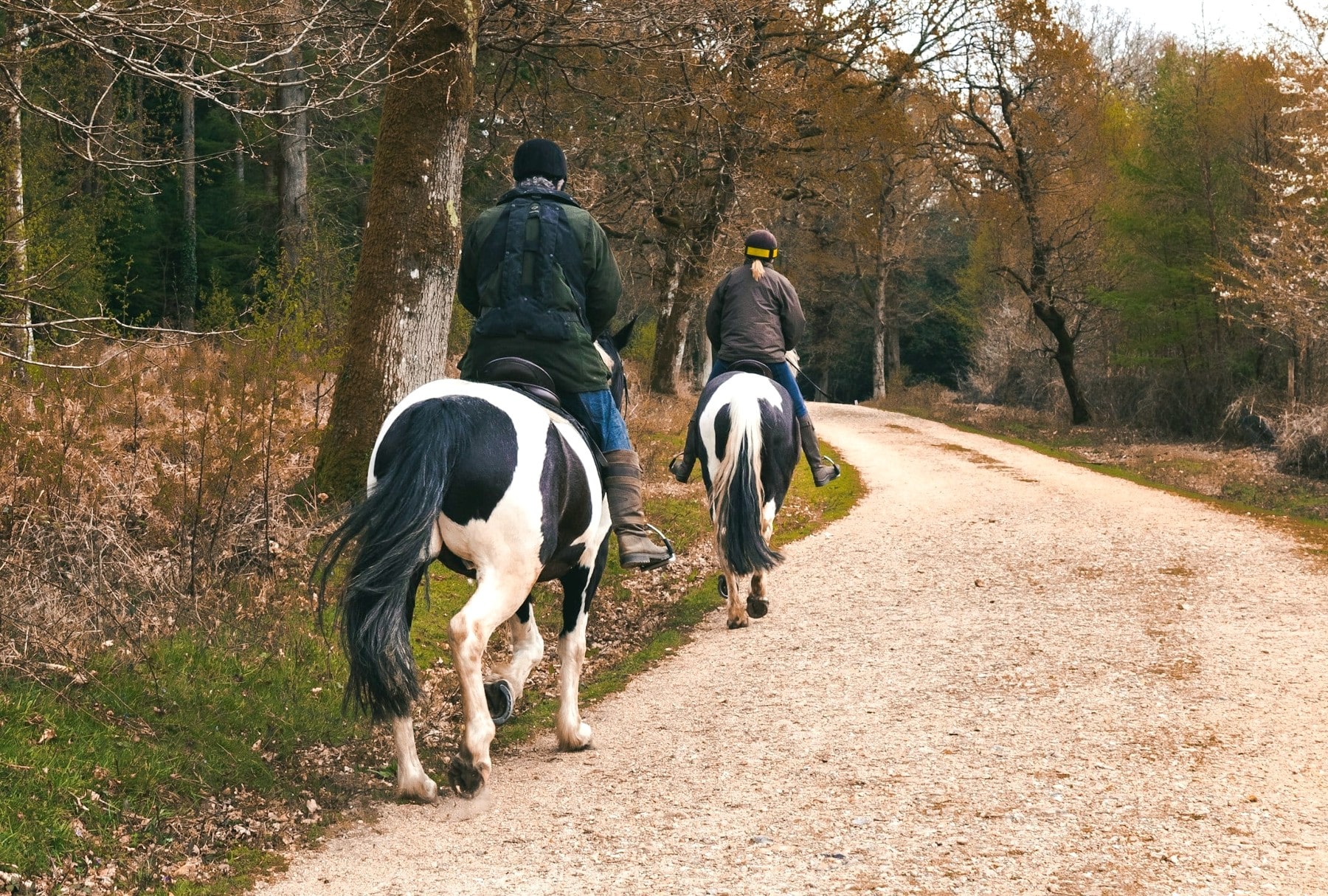 passeggiata a cavallo